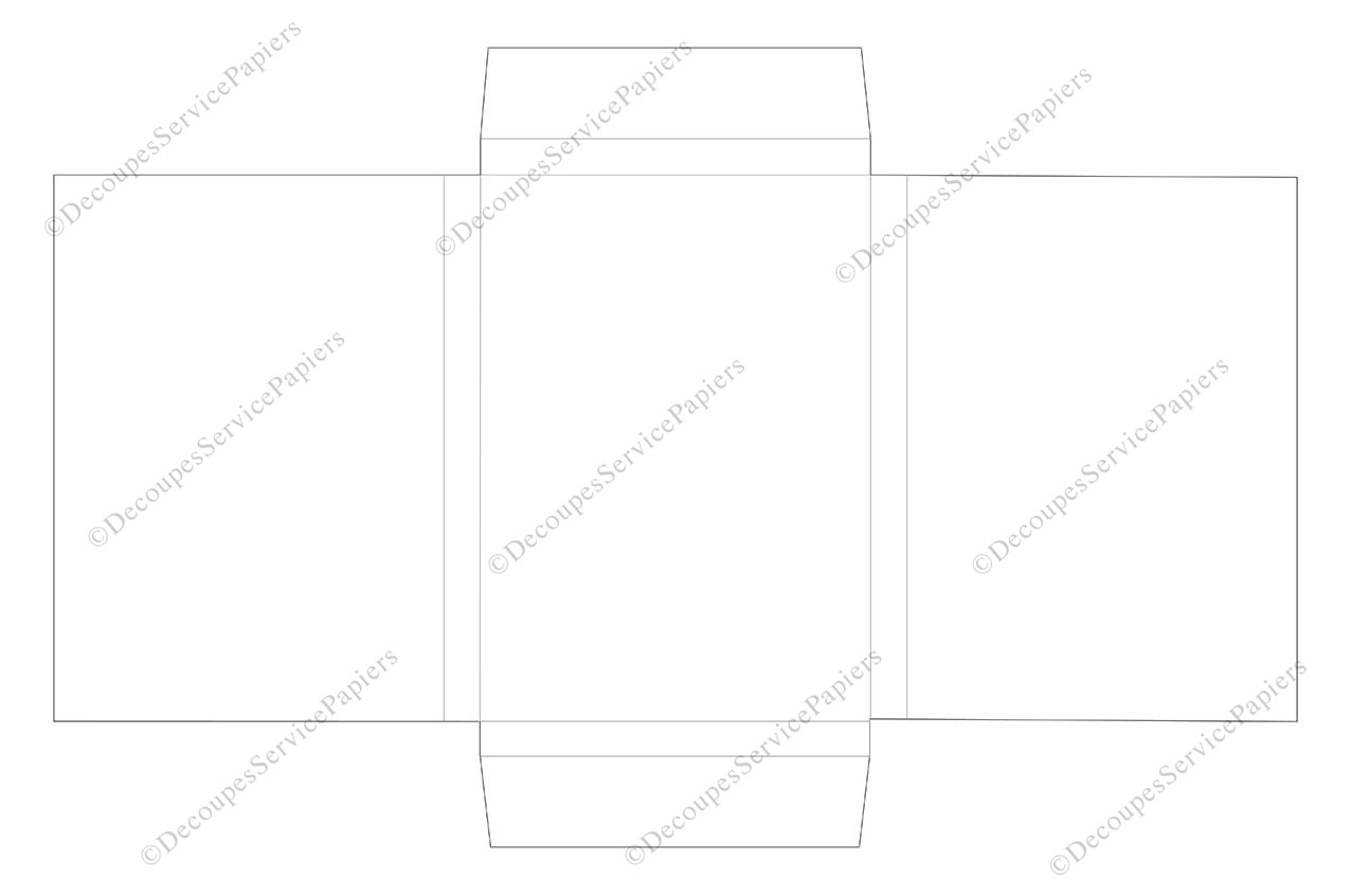 CHEMISE F 215 X 300 R20 O 685 X 438.jpg